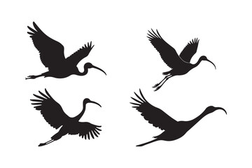Ibis Bird Silhouette Vector Set Flying Bird Illustrations for Art