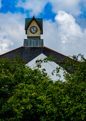 clock tower in the park