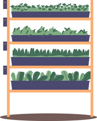 Rack with green plants vector illustration