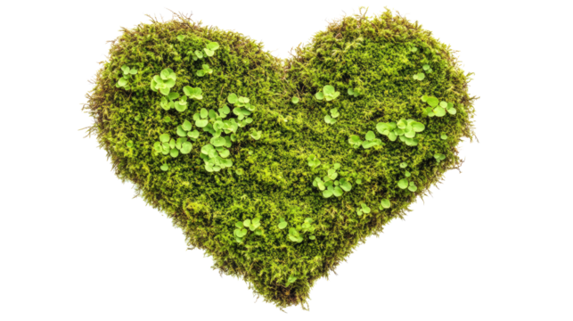 green grass heart