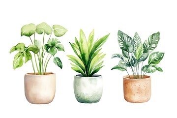 Fototapeta premium Elegant Mix of Indoor and Outdoor Potted Plants for Green Interior Design and Home Decor