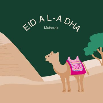 Baby Camel Cute Celebration Holiday Event for Eid Al Adha Social Media Platform Animation MP5