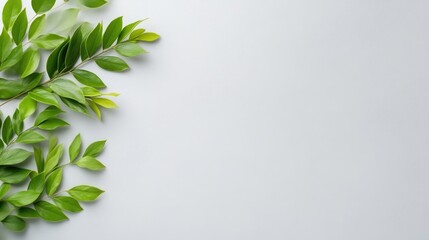 Fototapeta premium Green Leaves on White Background Minimalist Style High-Resolution Photography Side Composition Lush Greenery Frame Natural Setting Bright Green Tones Ideal for Eco-Friendly Branding