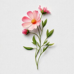 Delicate Pink Flora with Green Leaves on Soft White Background