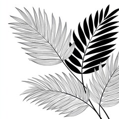 Elegant Black and White Tropical Leaf Patterns for Creative Designs