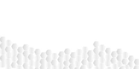 Luxury white and grey hexagonal abstract background with shadow Geometric grey background. Vector banner design with hexagons. Medical, science and technology concept.