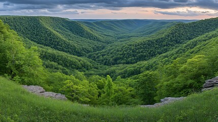 Naklejka premium Overlook View of Lush Green Forested Valley Under Cloudy Sky