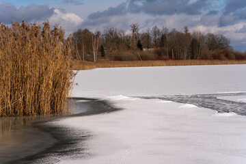 Frozen pond near the reeds