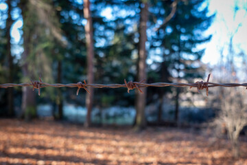 Barbed wire along the entire photo