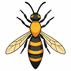 bee and honey