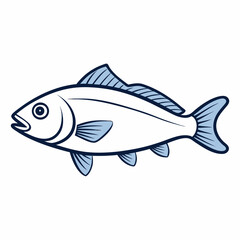 fish on a white background