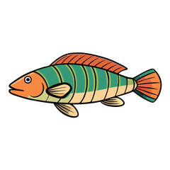 fish on a white background