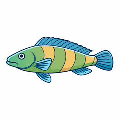 fish isolated on white