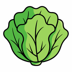 vector illustration of a green leaf