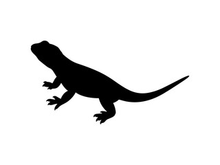 Desert lizard silhouette vector flat illustration design.