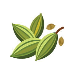 Cardamom seeds vector art illustration