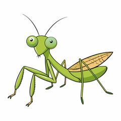 insect, mantis, green, bug, animal, nature, praying mantis, praying, macro, isolated, white, predator, grasshopper, antenna, close-up, wildlife, invertebrate, wild, closeup, white background, face, ey