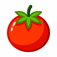 Tomato icon on white background 