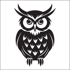 Fototapeta premium owl, night bird, nocturnal bird 