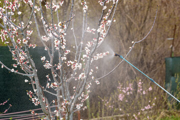 Spring treatments of trees with pesticides, pest control.