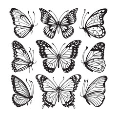 Obraz premium Coloring pages with butterfly Hand-drawn hummingbird patterns