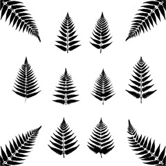 Fototapeta premium fern leaves silhouette collection decorative elements illustration