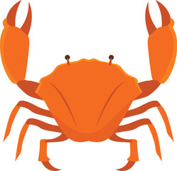 Crab cartoon vector