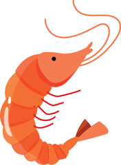 Obraz premium small shrimp vector