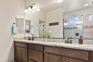 a home bathroom interior with a sink
