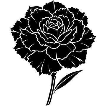black and white carnation flower silhouette clip art preview