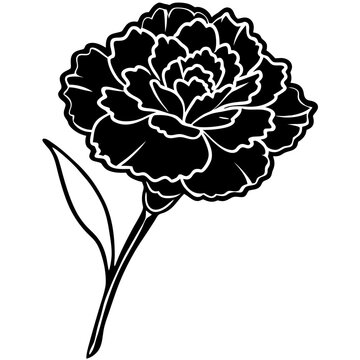 black and white carnation flower drawing clip art preview
