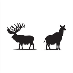 silhouette of a wild animals