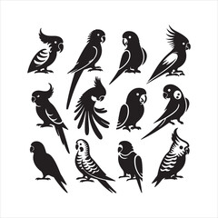 set of vector birds