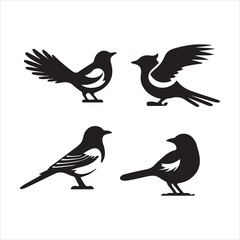 birds on a branch