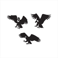 eagle in flight