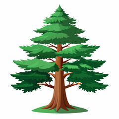 christmas tree isolated on white