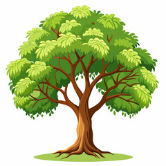 Fototapeta premium green tree isolated on white background