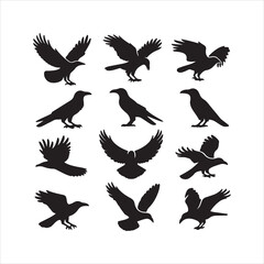 set of birds