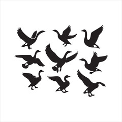 silhouettes of birds vector
