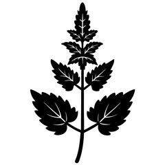 flowers horehound silhouette vector illustrator