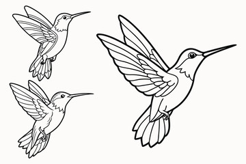 Fototapeta premium Humming bird outline vector isolated on white background.
