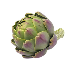 Obraz premium A single artichoke centered on the screen on Png Format and Transparent Background