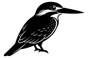 vector illustration of a bird