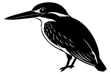 vector illustration of a bird