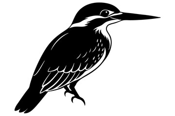 vector illustration of a bird
