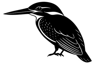 vector illustration of a bird