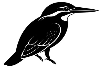 vector illustration of a bird