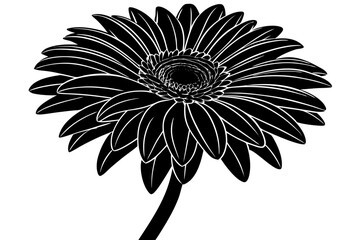 pink flower isolated on white background