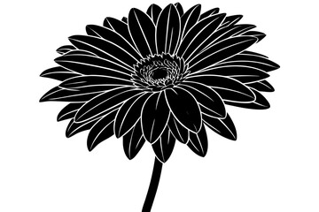 pink flower isolated on white background