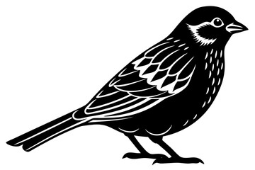 silhouette of a bird